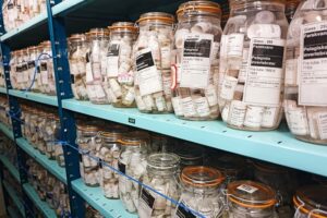 A selection from the zooplankton collection at the NTNU University Museum. The collection is safely stored in anticipation of future researchers, who may find it useful.