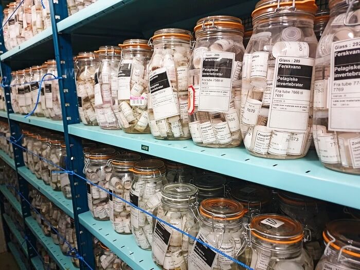 A selection from the zooplankton collection at the NTNU University Museum. The collection is safely stored in anticipation of future researchers, who may find it useful.