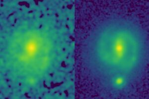 The power of JWST to map galaxies at high resolution and at longer infrared wavelengths than Hubble allows it look through dust and unveil the underlying structure and mass of distant galaxies. This can be seen in these two images of the galaxy EGS23205, seen as it was about 11 billion years ago. In the HST image (left, taken in the near-infrared filter), the galaxy is little more than a disk-shaped smudge obscured by dust and impacted by the glare of young stars, but in the corresponding JWST mid-infrared image (taken this past summer), it’s a beautiful spiral galaxy with a clear stellar bar.