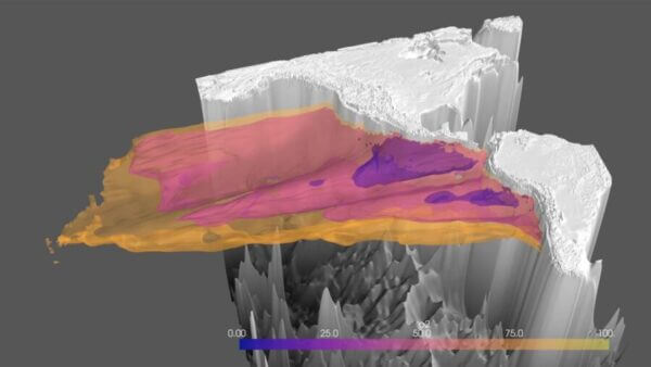 Pacific Ocean’s oxygen-starved ‘OMZ’ is growing, new Princeton research finds