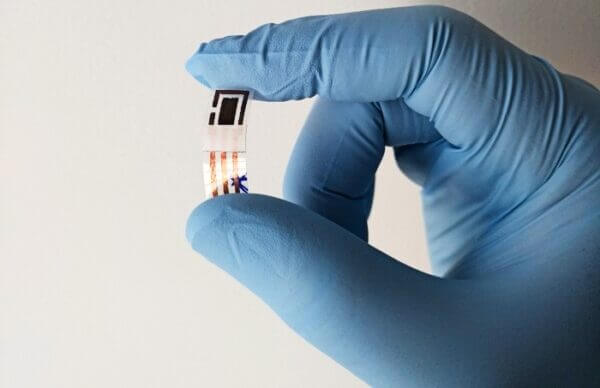 Low-cost sensor detects heavy metals in sweat