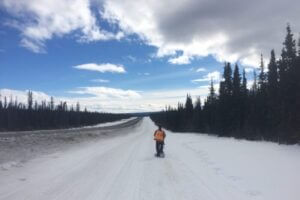 Squirrel researcher walking along the Alaska Highway in the Yukon, Canada. Image credit: Ben Dantzer