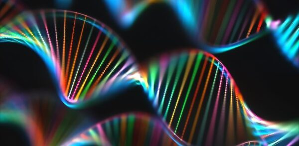 DNA sequencing method lifts ‘veil’ from genome black box