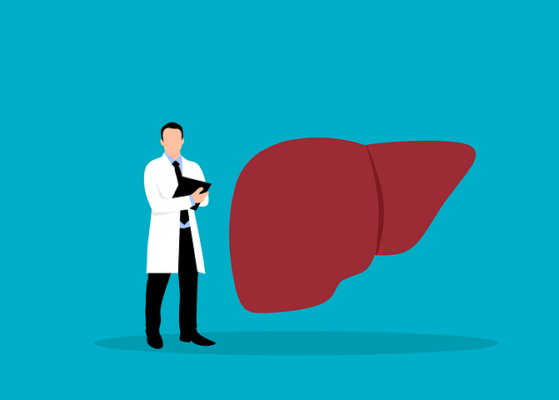 Nanoparticle stops liver fibrosis in its tracks, reverses damage