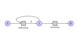 A simple version of a Petri net for COVID infection. The starting point is a non-infected person. “S” denotes “susceptible”. Contact with an infected person (“I”) is an event which leads to two persons being infected. Later another event will happen, removing a person from the group of infected. Here, “R” denotes “recovered” which in this context could be either cured or dead. Either outcome would remove the person from the infected group.