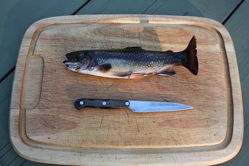 Freshwater rainbow trout