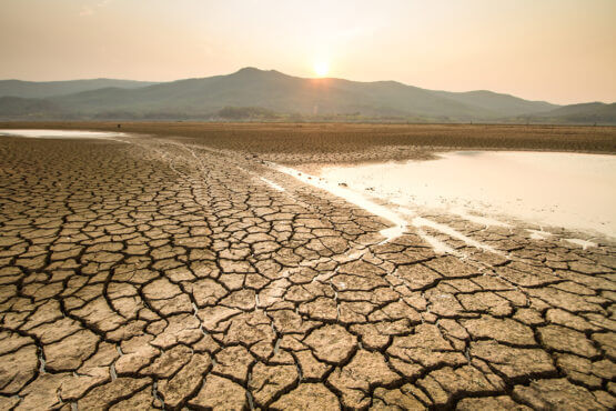 Researchers examined how different types of drought, various resilience strategies, and household behavior can affect the affordability of water. (Image credit: Shutterstock/Piyaset)