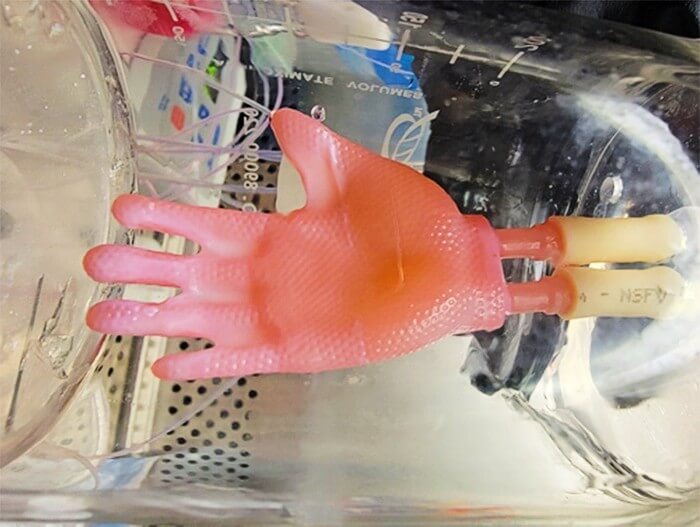 Creating a "glove" of engineered skin for grafting.