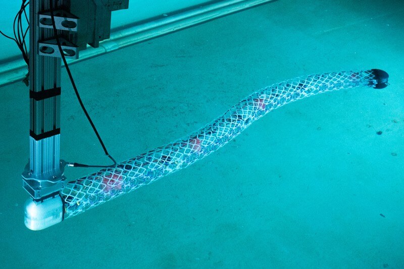 Researchers have come up with an innovative approach to building deformable underwater robots using simple repeating substructures. The team has demonstrated the new system in two different example configurations, one like an eel, pictured here in the MIT tow tank. Credits:Credit: Courtesy of the researchers