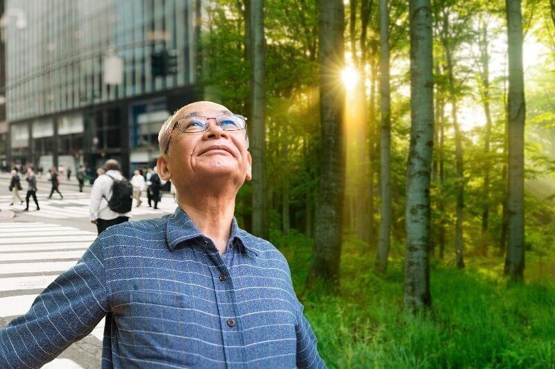 'Forest bathing,' the practice of spending time in nature engaging all of one's senses, can support mental, physical, and emotional health in adults over 65. Credit: Image compiled by Krystal Huang; Original photographs: Getty Images - recep-bg, AVTG and PPAMPicture. All Rights Reserved.