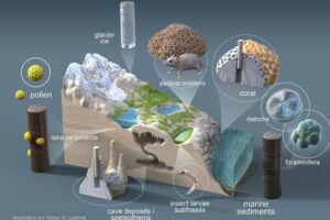 Illustration of critters impacted by Earth's warmth