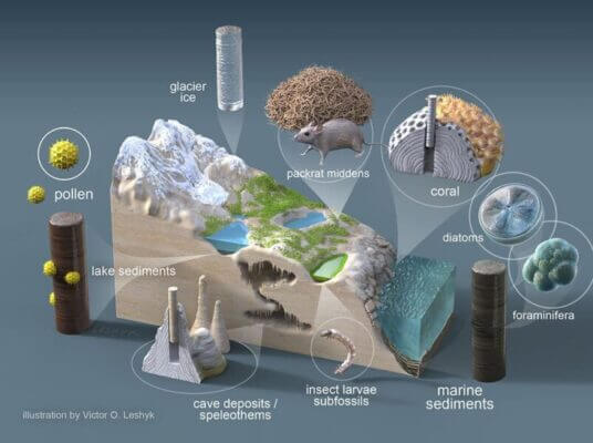 Illustration of critters impacted by Earth's w...                    </div>

                    <div class=