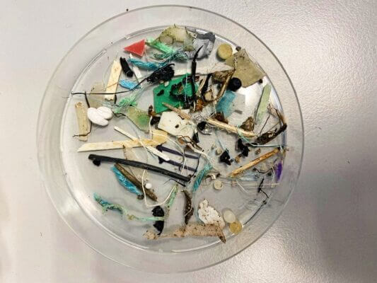 Plastic debris in the Arctic comes from all around the world – including Germany