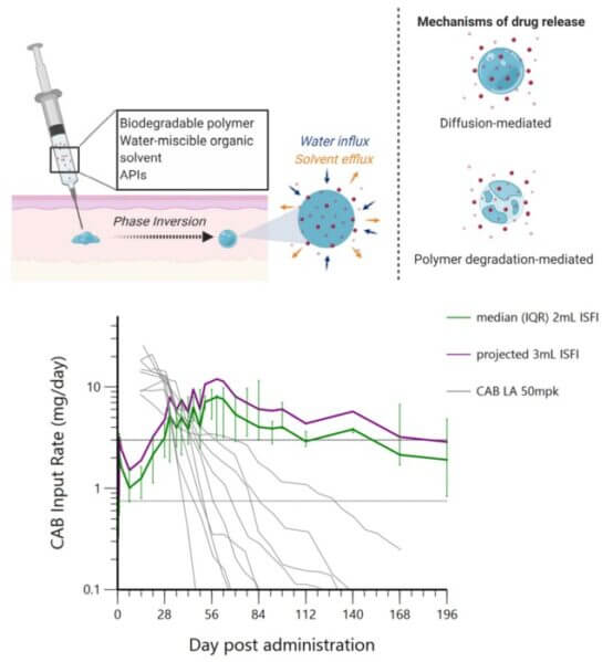 Top: Illustration of formation of solid implant by phase inversion and drug release via diffusion and implant degradation. Bottom: Modeling predicted a 2 mL and 3 mL injection can sustain plasma concentrations of CAB above levels needed for protection against HIV in humans for 4 and 5 months respectively.