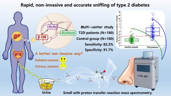 A fast way to diagnose type 2 diabetes: sniffing urinary acetone