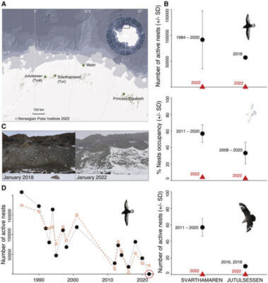 Entire populations of Antarctic seabirds fail to breed due to extreme snowstorms