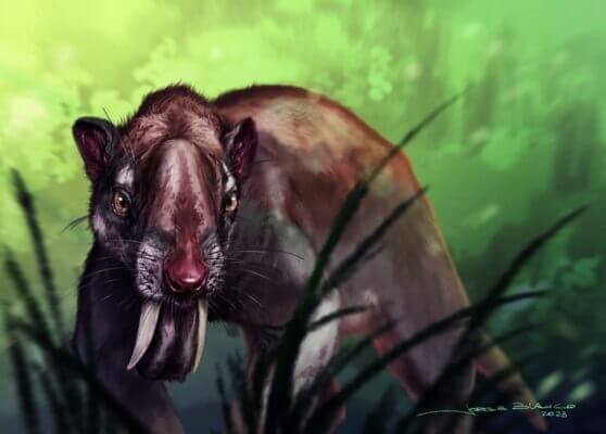 How the “marsupial sabertooth” thylacosmilus saw its world