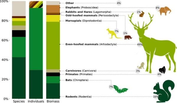 The weight of responsibility: biomass of livestock dwarfs that of wild mammals