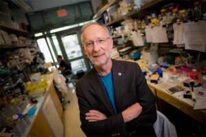 Don Cleveland, PhD, Distinguished Professor of Medicine, Neurosciences and Cellular and Molecular Medicine at UC San Diego School of Medicine, is among the most highly cited researchers in the world for his work investigating neurodegenerative diseases.