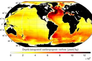 Map of depth-integrated anthropogenic carbon Credit: Laura Cimoli/GLODAP