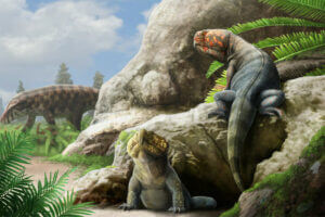 This artist’s depiction shows how Beesiiwo cooowuse may have appeared while roaming the Earth between 250 and 227 million years ago. The newly described rhynchosaur species was named in the language of the northern Arapaho, who live where its fossils were discovered in central Wyoming. GABRIEL UGUETO