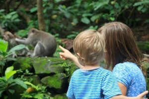 Woman and child view wild primate parent and child in a wild setting. (Getty Images)