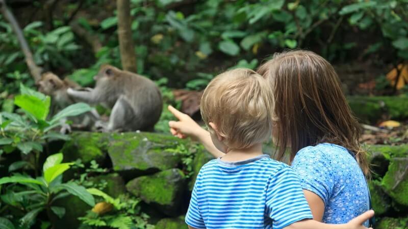 Woman and child view wild primate parent and child in a wild setting. (Getty Images)