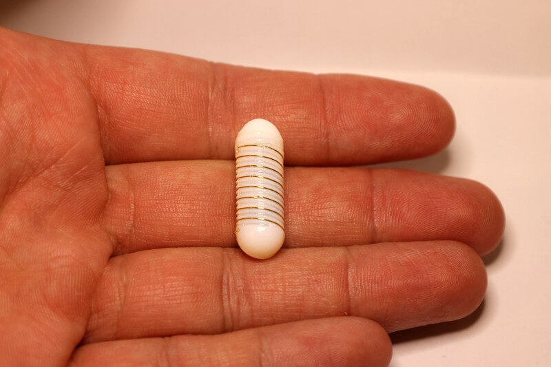 An ingestible capsule that delivers an electrical current can stimulate the release of the hormone ghrelin. Developed at MIT, the capsule could prove useful for treating diseases that involve nausea or loss of appetite, such as anorexia or cachexia. Credits:Image: Courtesy of the researchers