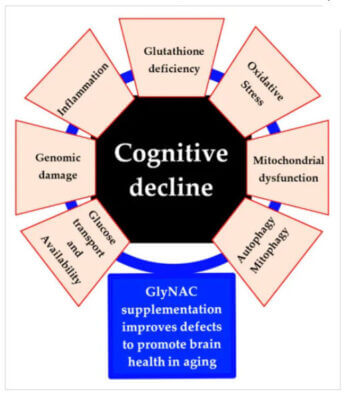 Model of cognitive decline and the effect of GlyNac