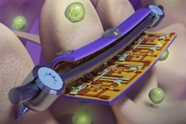 Smart Coatings Inspired by Bugs Zap Bacteria and Monitor Strain