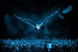 Bird at night flying with wings spread wide