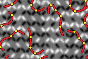 A snapshot of a lattice of frustrated nanomagnets.
