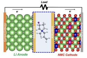 Design of lithium metal battery with electrolyte containing a fluorinated cation (atomic structure at center). The “interface” area represents the layer with fluorine that forms on the anode surface, as well as the cathode surface.