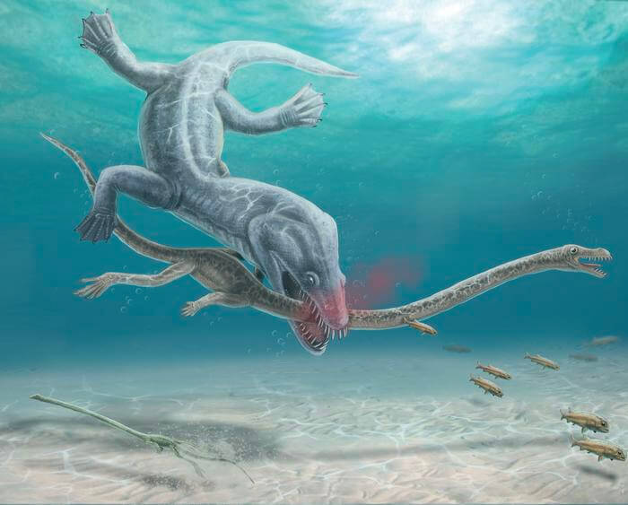 Artistic rendition of the decapitation scene of Tanystropheus hydroides