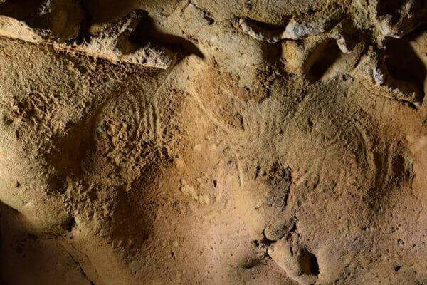 France’s La Roche-Cotard Cave Holds Neanderthals’ Oldest Known Engravings