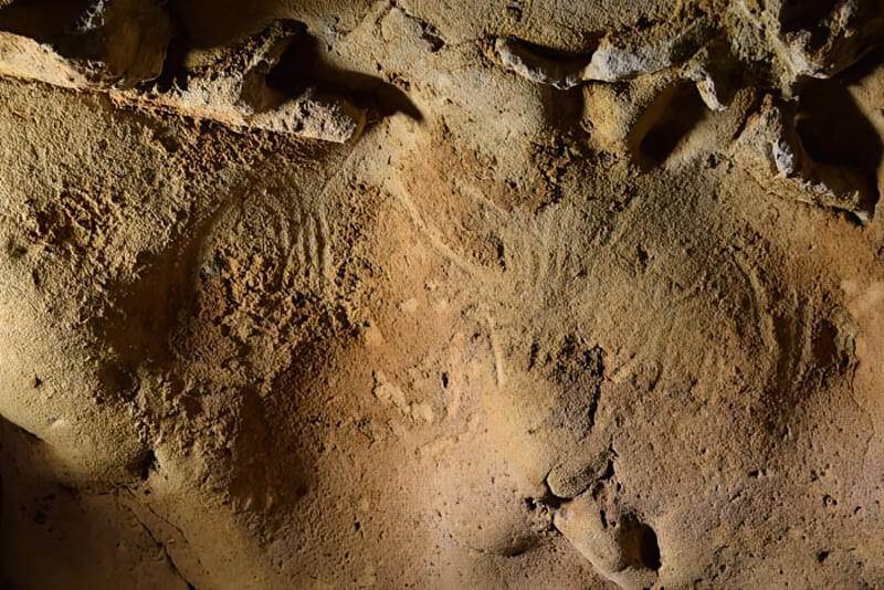 Examples of engravings discovered in the Roche-Cotard cave (Indre et Loire - France). On the left, the "circular panel" (ogive-shaped tracings) and on the right the "wavy panel" (two contiguous tracings forming sinuous lines).