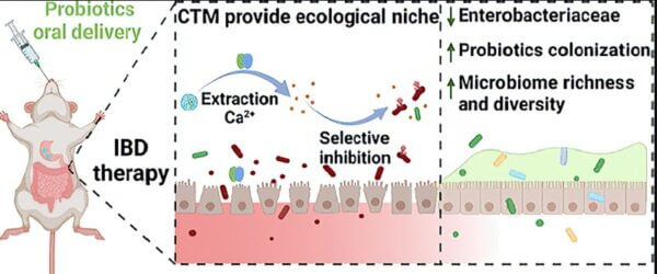 Helping ‘good’ gut bacteria and clearing out the ‘bad’ — all in one treatment