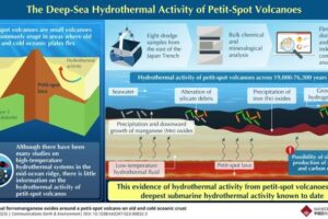 Researchers have analyzed samples from petit-spot volcanoes to confirm their hydrothermal activity and estimated the process behind the hydrothermal activity.