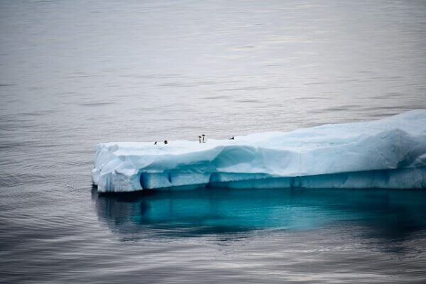 Increased West Antarctic Ice Sheet melting ‘unavoidable’