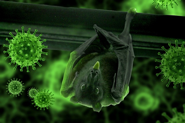 Pixabay. Bat illustration, green, superimposing bat over Covid virus particles.