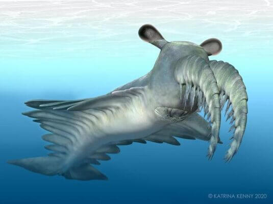 Ancient Sea Scourge Not So Fearsome After All