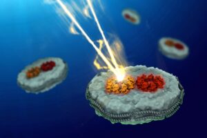 For the first time, MIT chemists have measured the energy transfer between photosynthetic light-harvesting proteins, allowing them to discover that the disorganized arrangement of light-harvesting proteins boosts the efficiency of the energy transduction. Credits:Image: Courtesy of the researchers