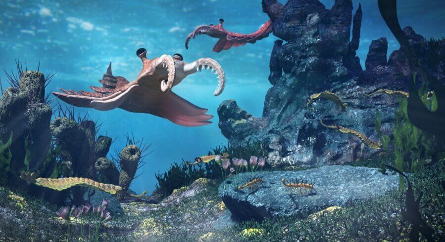 Prehistoric sea creature of the Cambrian period. Photo: Getty