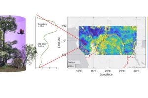 Graph depicting canopy information obtained from GEDI.