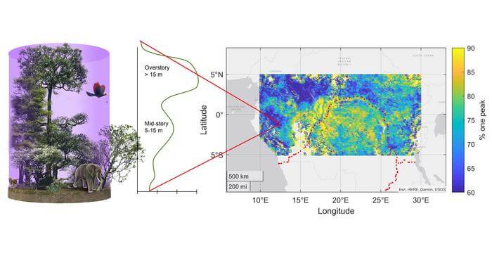 NASA space laser provides answers to a rainforest canopy mystery