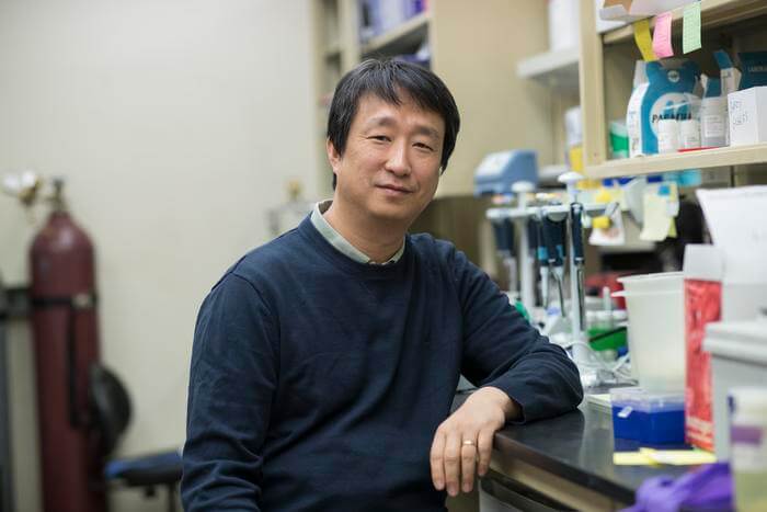 The University of Virginia School of Medicine's Jung-Bum Shin, PhD, has discovered how hair cells that let us hear can naturally repair themselves. The finding could advance efforts to develop better ways to treat hearing loss, including age-related hearing loss.