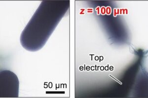 Optical microscopy images of the 3D polymer wiring between a top electrode (TE) and three bottom electrodes (BEs) at the vertical distance from the surface of glass substrate z = 0 and 100 μm.