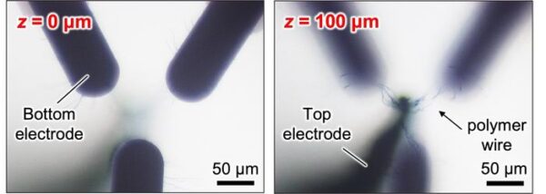 Optical microscopy images ...                    </div>

                    <div class=