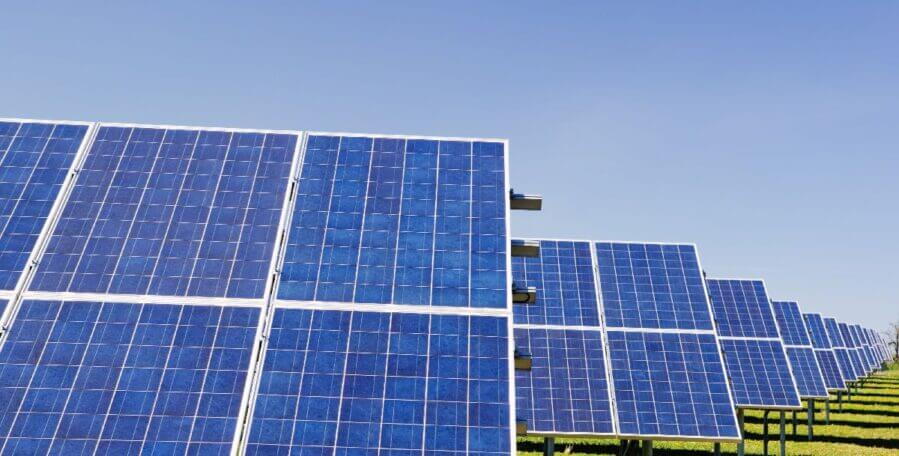 Solar panels in a grassy field | Caltech