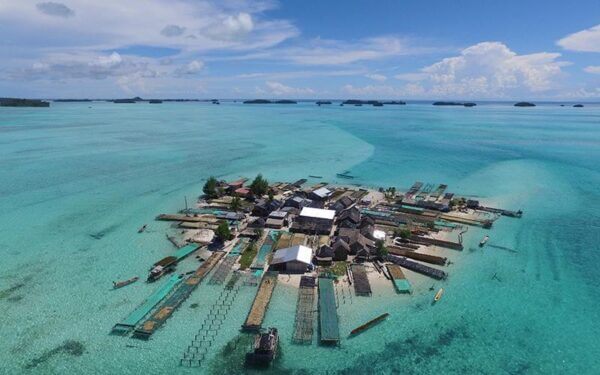 World’s coastal wetlands and coral reef islands are hanging by a thread, new study shows